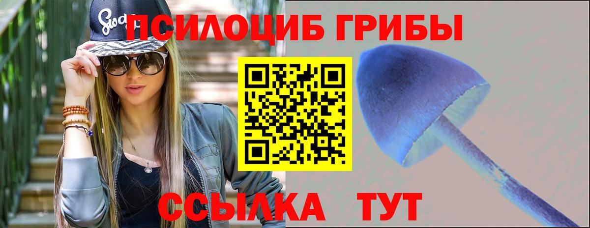 Краснокаменск  Псилоцибиновые грибы Psilocybine cubensis  Вход с VPN 