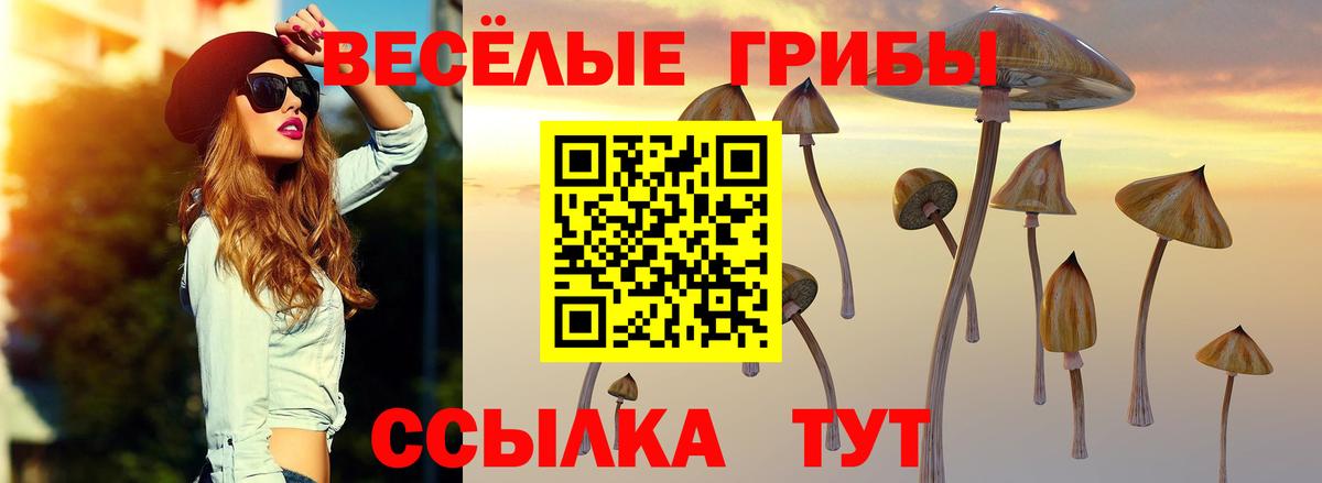Псилоцибиновые грибы Psilocybine cubensis Краснокаменск